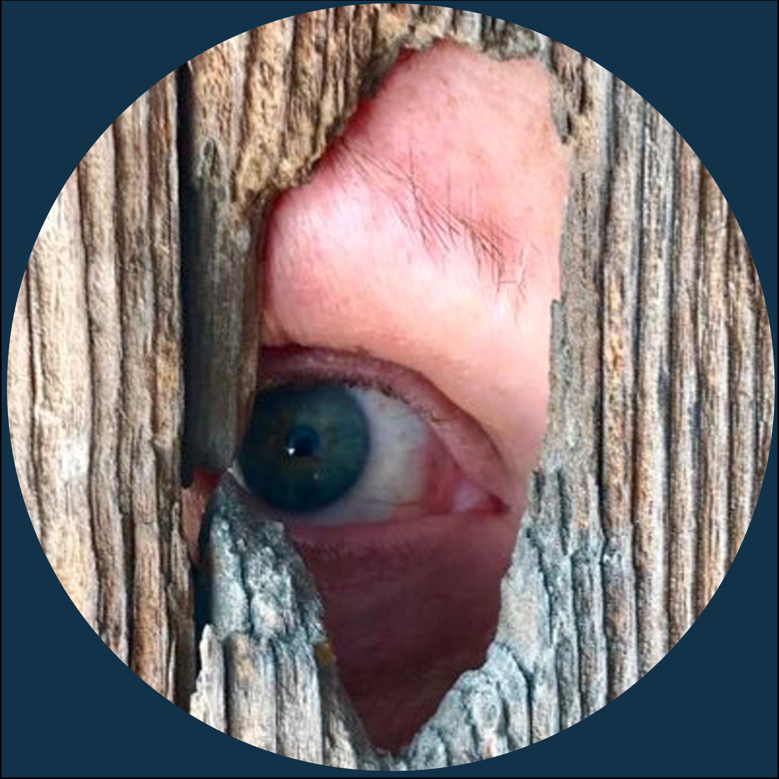 A round photo showing Judith Watts' eye peering through a peephole
